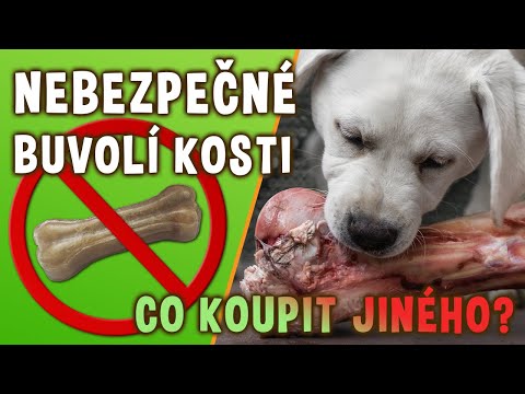 Video: Krev v psí moči