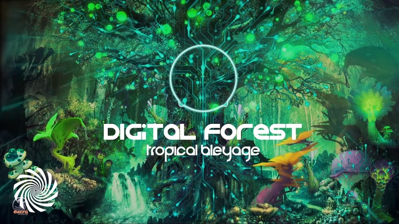 Guarda Tropical Bleyage - Digital Forest su YouTube Guarda Tropical Bleyage - Digital Forest su YouTube