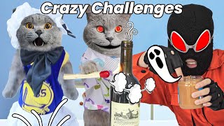 How Oscar Tackled All Kinds Of Crazy Challenges| Oscar‘s Funny World | New Funny Cat Videos 2023