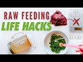 5 Best Raw Feeding Life Hacks For Pets