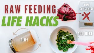 5 Best Raw Feeding Life Hacks For Pets