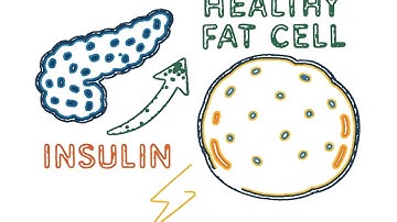 Retatrutide Explained | The New 3-in-1 Weight Loss Peptide for Fat Loss & Blood Sugar Control.