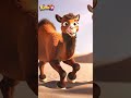  ج م ل  للاطفال  جمل جمل جمل  اغاني اطفال                  سفينة الصحراء  اغاني                 نجومي