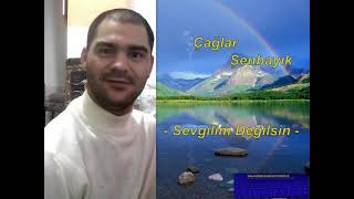 Çağlar Şenbayık Sevgilim Degilsin Müzik