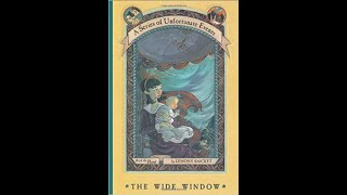 ASOUE #3 The Wide Window- Book Review with Timmybug