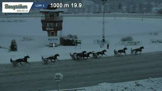 Vidéo de la course PMU PRIX LOPP 2