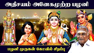 அதிசயம் அனேகமுற்ற பழனி | பழனி முருகன் கோவில் சிறப்பு | Palani | Murugan | So So Meenakshi Sundaram |