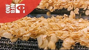 How Do They Make Potato Chips? Processing and packing line for potato chips | food machines Kitchens