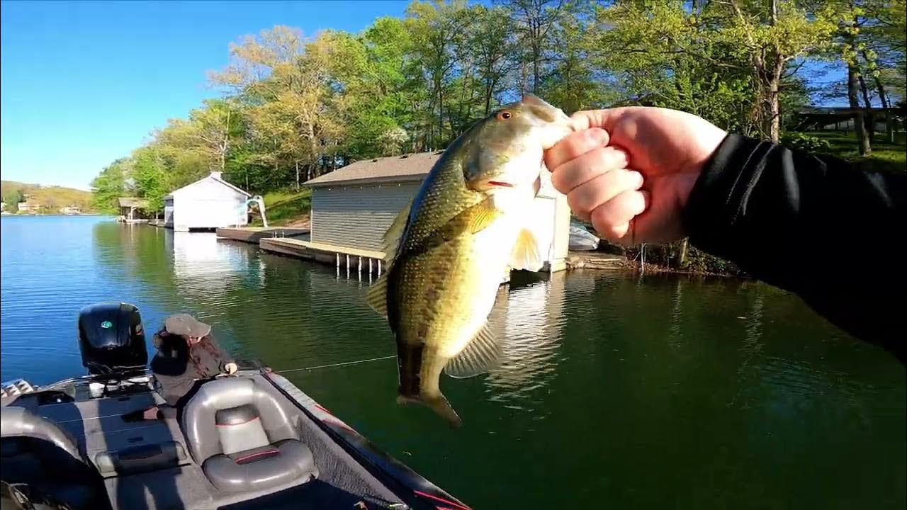 Catching Bass up Shallow - Late April Bass Fishing (Windsor Lake Arkansas)  