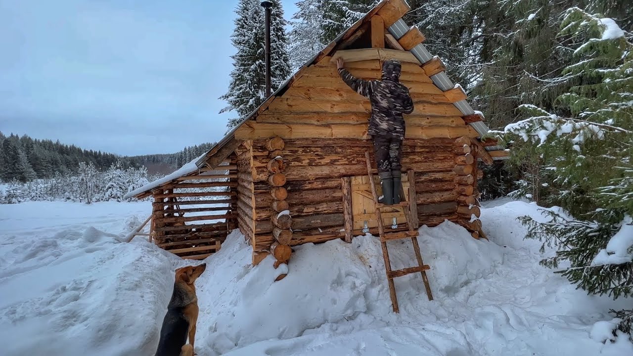Forest Life off grid in a log cabin with my dog - Log cabin ...