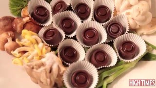 The HIGH TIMES Kitchen: Mushroom Chocolates