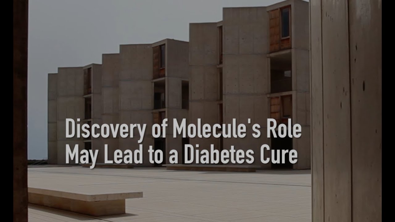 Discovery of Molecule's Role May Lead to a Diabetes Cure YouTube