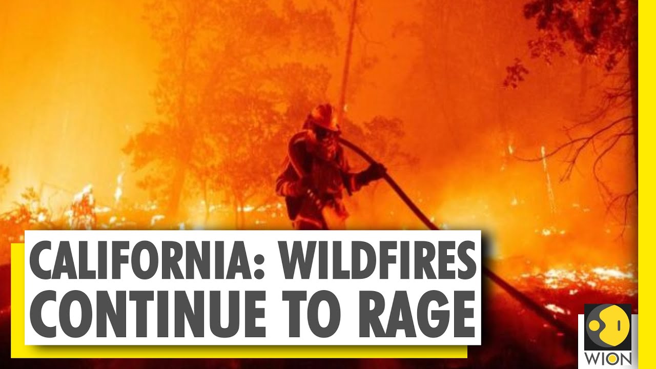 California wildfires: More than 200 people airlifted to safety | WION News | World News
