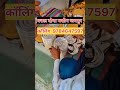 pattal Dona machine jaipur//दोना पत्तल मशीन जयपुर//पत्तल दोना मशीन जयपुर// पेपर प्लेट मशीन जयपुर