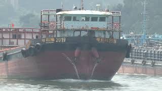 River boat 粵福隆 2019 駛經藍巴勒海峽 20240902 P3260082