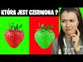 ILE IQ MA EWELA? ŁAMIGŁÓWKI VS MOJA DZIEWCZYNA