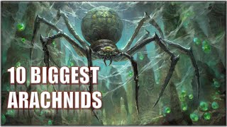 10 Biggest Movies Arachnids