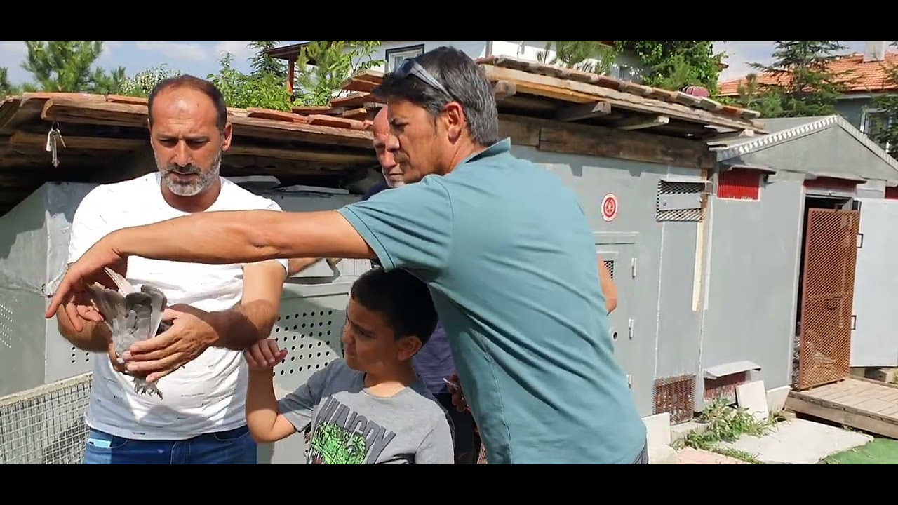 şampiyon kuslar soyu bıçakçi mustafa polis mustafa Rüştü gürhanlı..