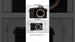 Leaf Shutter Or Focal Plane? 4 Pairs People Mix Up (Part 2)