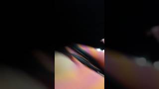 Merry Go Round Coney Island