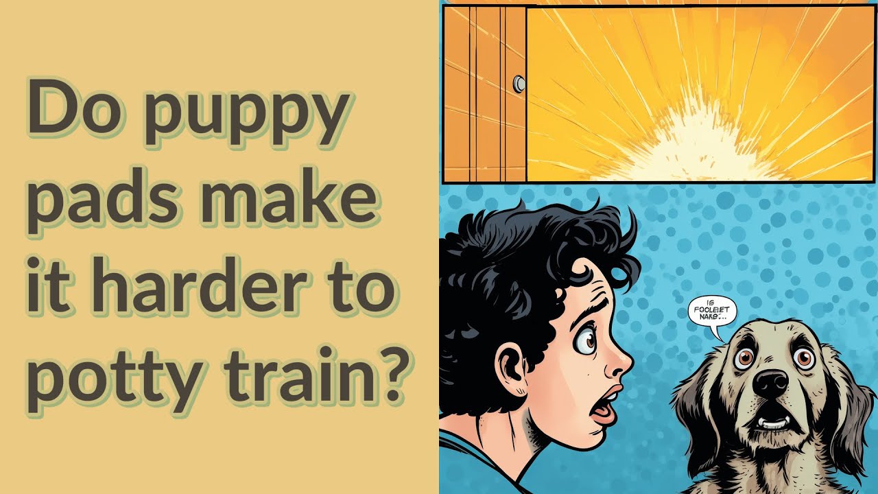 Do puppy pads make it harder to potty train? YouTube