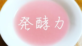 菌活 Youtube