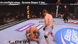 Mma, Ufc, Vine Vine Vine
