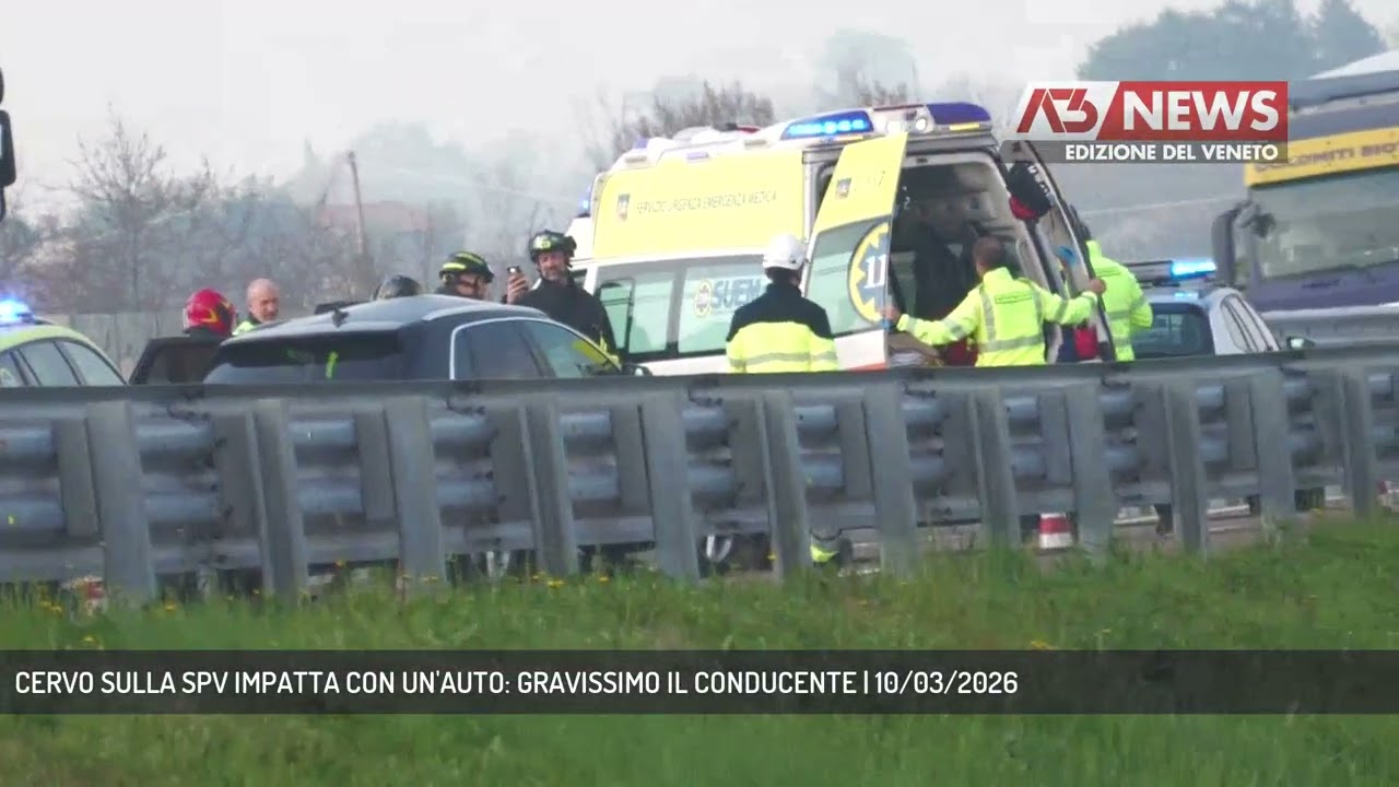 CERVO SULLA SPV IMPATTA CON UN'AUTO: GRAVISSIMO IL CONDUCENTE | 10/03/2026