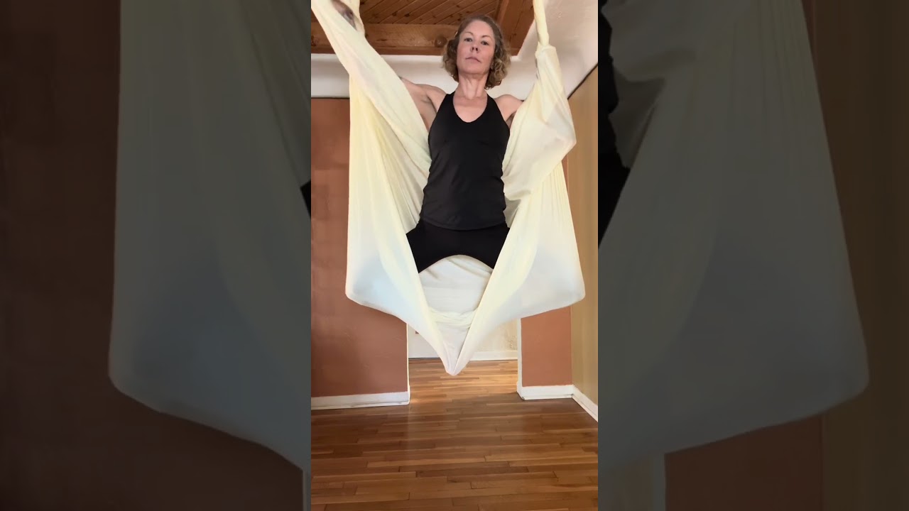 Aerial Butterfly 🦋