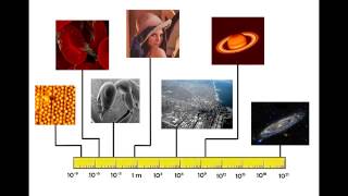Fundamentals of Digital Image and Video Processing with Aggelos Katsaggelos