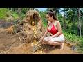 Girl's Surprise in the Forest..Girl Discovered the Antiques After they Had Been Buried for Many Year
