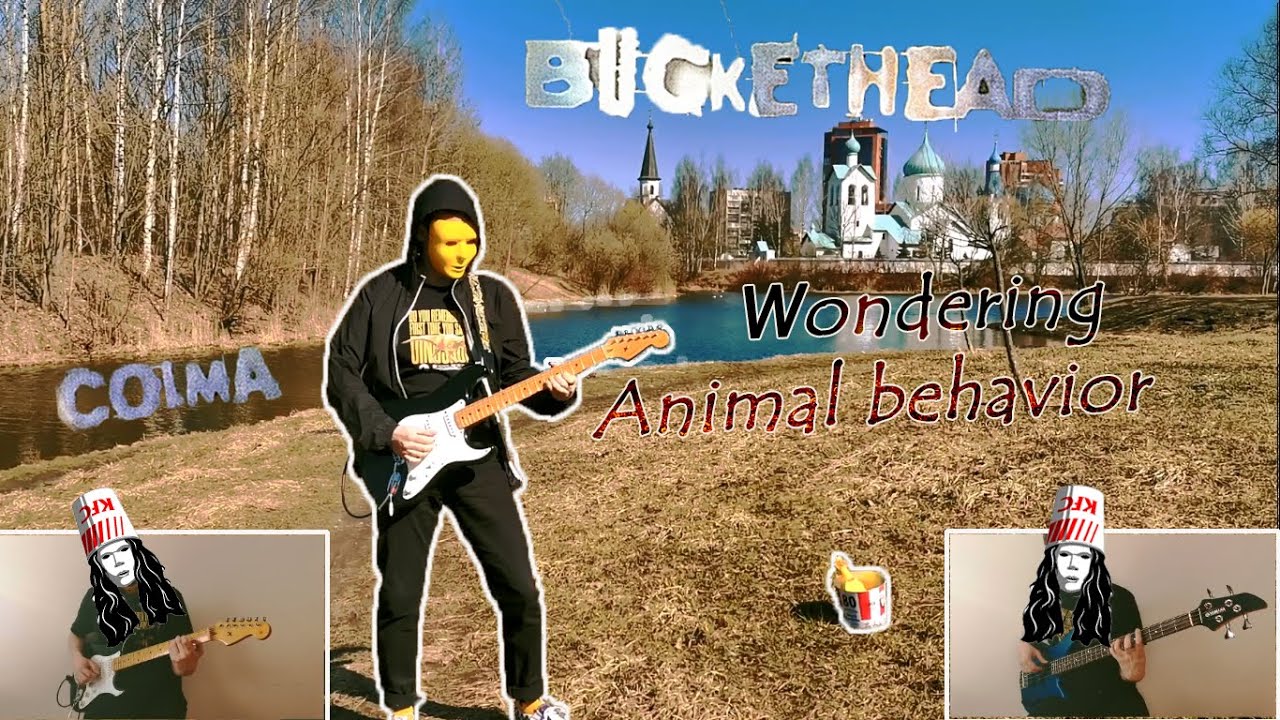 Buckethead Wondering / Animal behavior outro(2IN1 guitar cover with