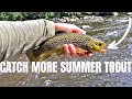 Catch MORE Summer TROUT! TROUT Fishing Tips!