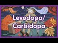 Levodopa  carbidopa mnemonic for nursing pharmacology nclex
