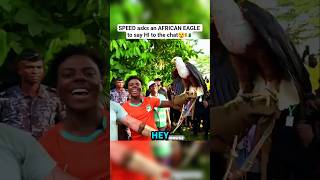 SPEED Asks An AFRICAN EAGLE To Say Hi To The Chat😲🇨🇮 #ishowspeed #eagle #african #cotedivoire