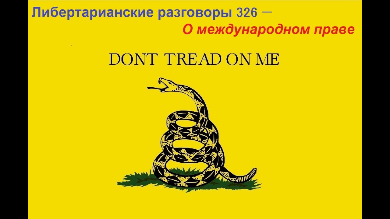 Либертарианские разговоры 326 — О международном праве
