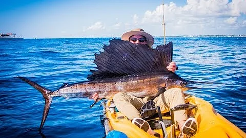 EPIC KINGFISH ACTION AND JUMPING SAILFISH - DEEP BLUE Kayak Fishing