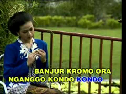 CAMPUR SARI   LORO BRONTO
