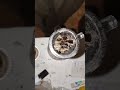 crazy moon rock Dabs