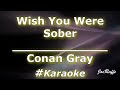 Conan Gray Wish You Were Sober Karaoke