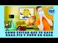 COMO EVITAR QUE TU GATO HAGA PIS Y POPO EN CASA