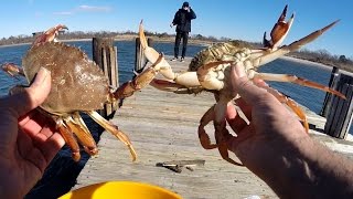 Winter Pier Crabbing - ROCK or JONAH Crab with Tim The Fishing Ham