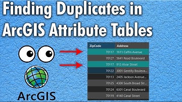 Finding Duplicates in an ArcGIS Pro Feature Class Attribute Table (Frequency Tool)| ArcGIS Pro