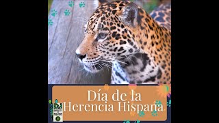 ¡Bienvenidos al Día de la Herencia Hispana en el Zoológico!