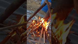 obtener silicio de la quema de cascarilla de arroz