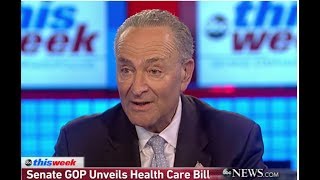 CHUCK SCHUMER ACCIDENTALLY JUST SLAMMED HILLARY CLINTON WITH A BRUTAL INSULT!