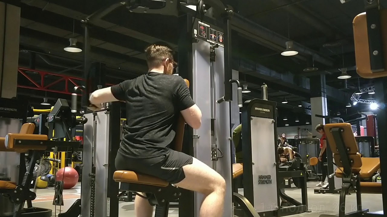 Golden Dragon ������� ������: ����.