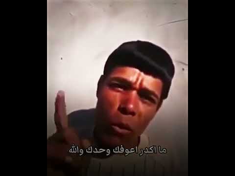 احلئ شعر ادك كلب عل بسمار