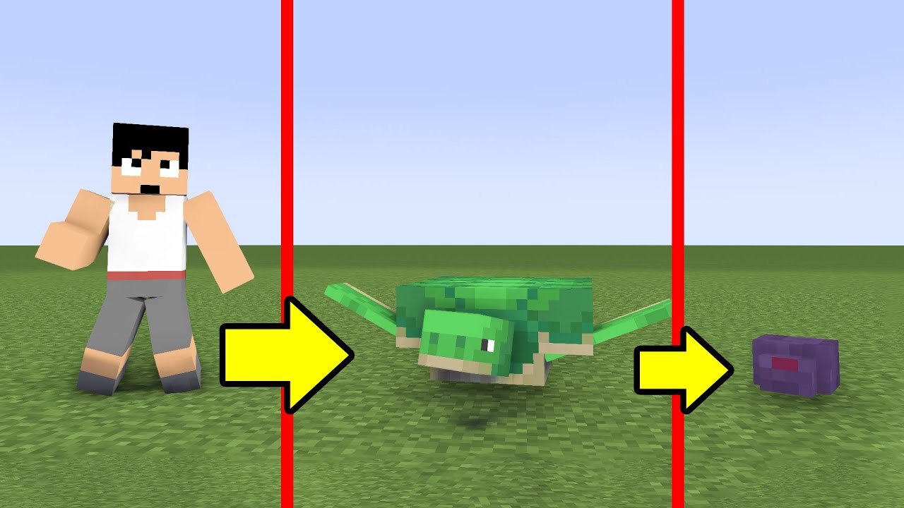 １０分ごとに変身する世界でエンドラ討伐！？【マイクラ】