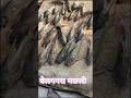 Chikiri Chikiri#trending #song #fish #video #viral #viralshort बेलगगरा मछली##🙏